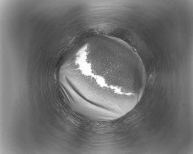 X0000055980772200509162224