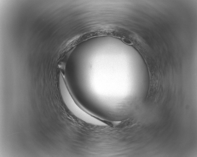 X0000055980773200509162224