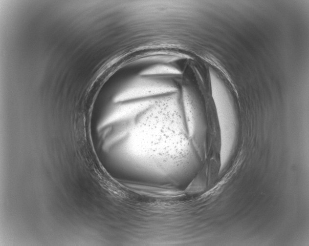 X0000055980781200509162224