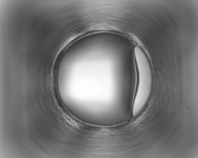 X0000055980787200509162224