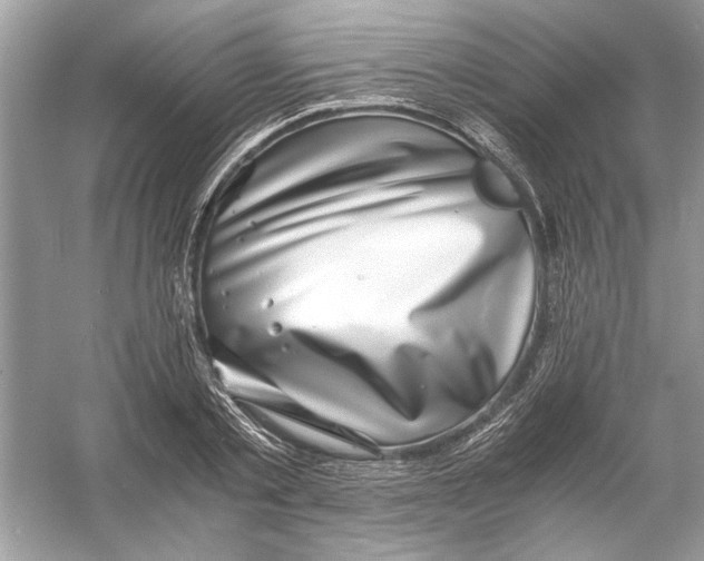 X0000055980789200509162224