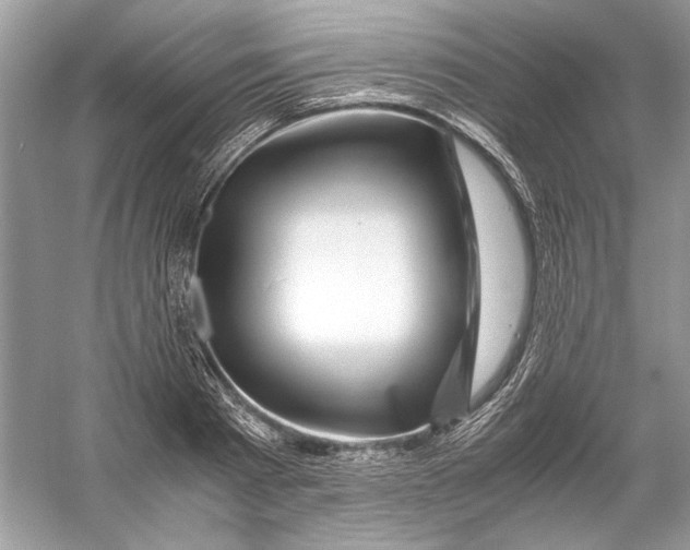 X0000055980793200509162224
