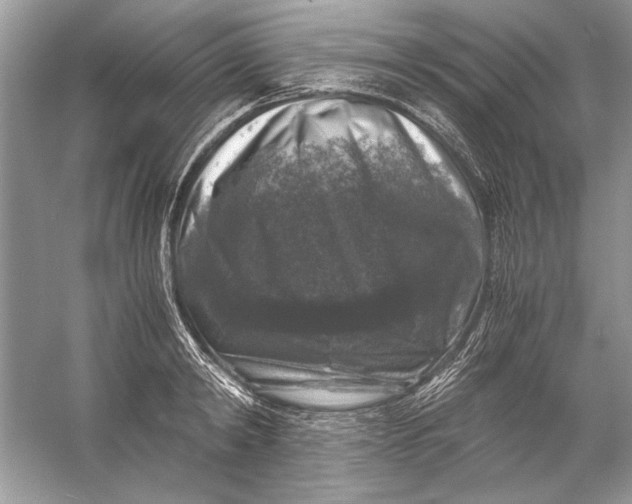 X0000055980798200509162224