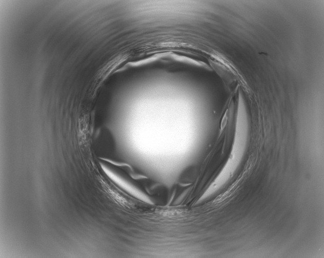 X0000055980801200509162224