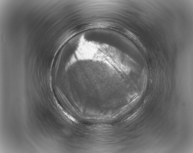 X0000055980802200509162224