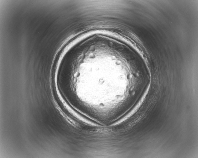 X0000055980803200509162224