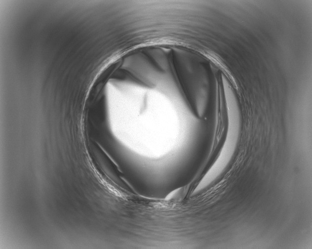 X0000055980805200509162224