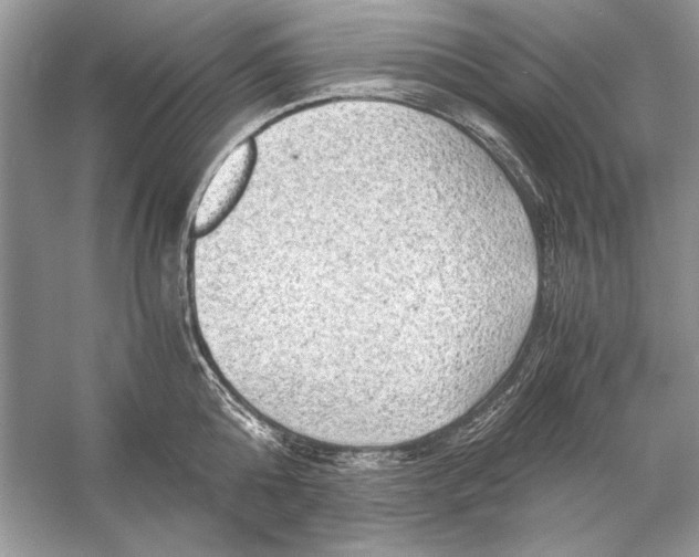 X0000055980808200509162224