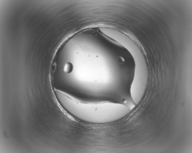 X0000055980813200509162224