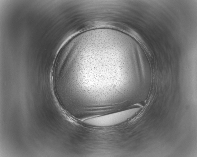 X0000055980814200509162224