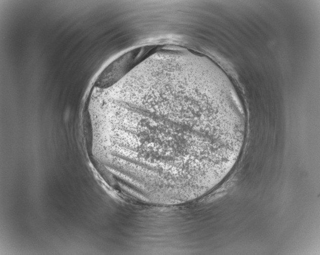 X0000055980816200509162223