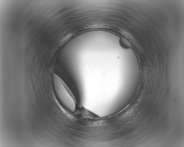 X0000055980841200509162223