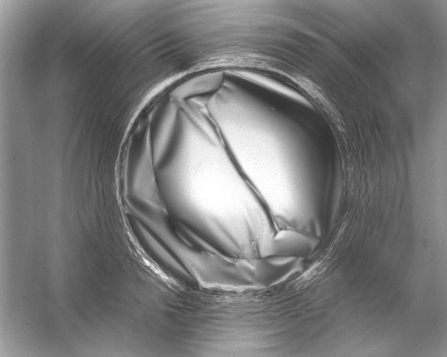 X0000055980846200509162223