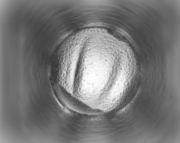 X0000055980849200509162223