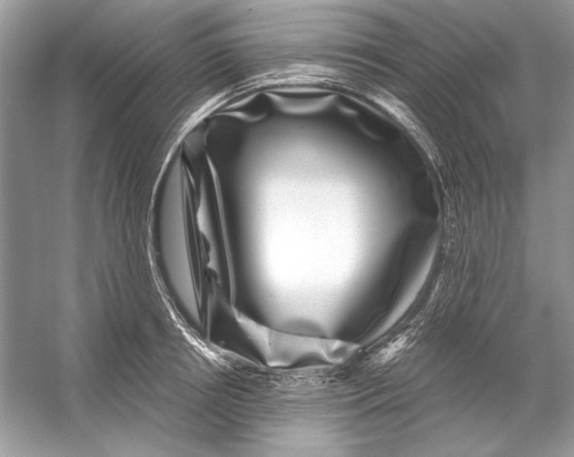 X0000055980850200509162223
