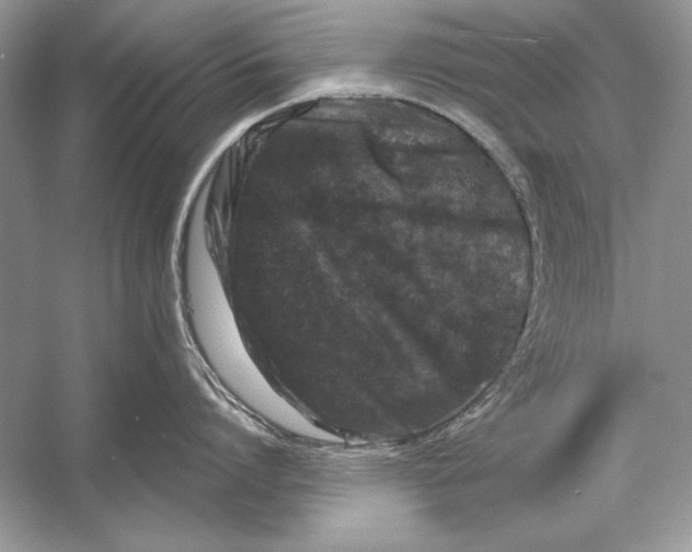 X0000055980864200509162223