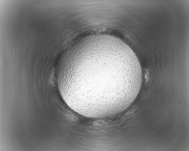 X0000055980867200509162223