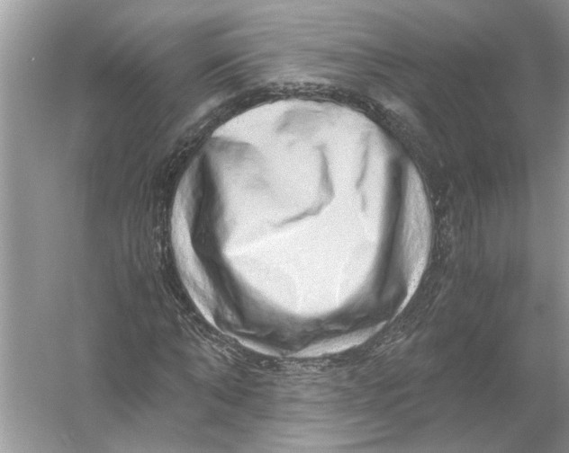 X0000055980870200509162223
