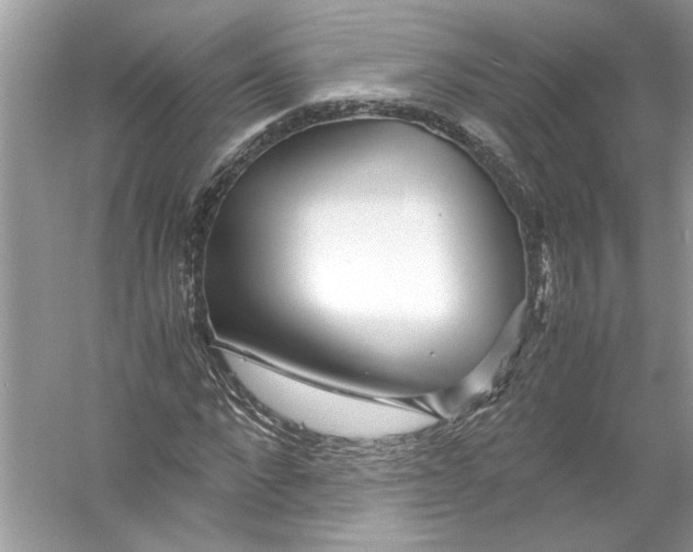 X0000055980872200509162223