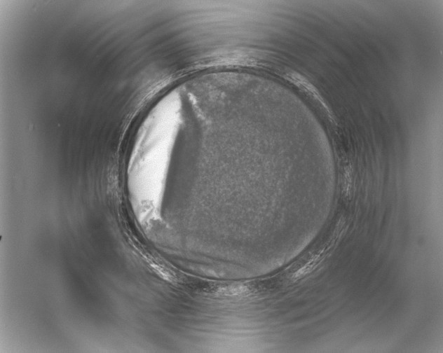 X0000055980882200509162222
