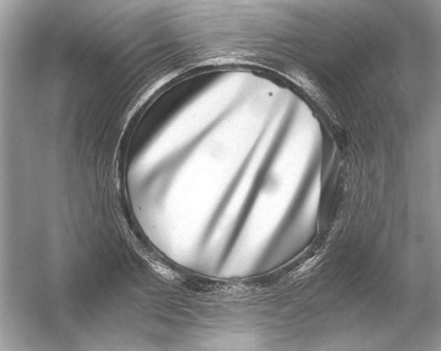 X0000055980885200509162222