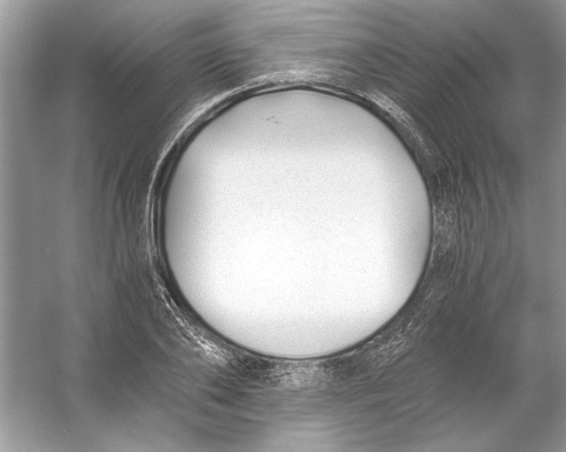 X0000055980886200509162222