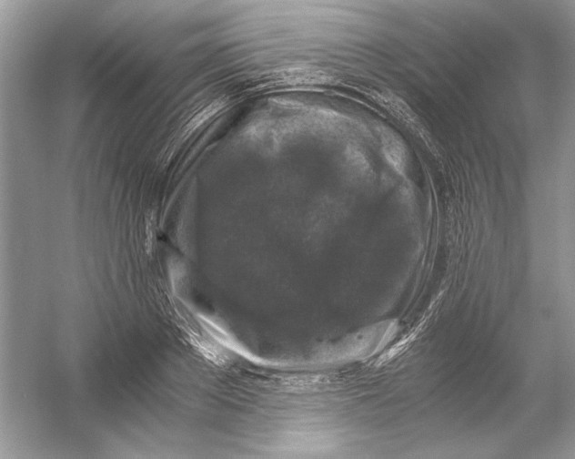 X0000055980889200509162222