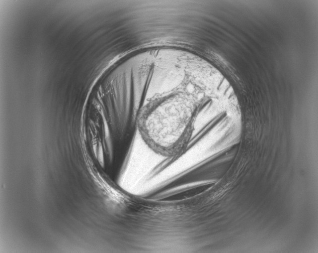 X0000055980892200509162222