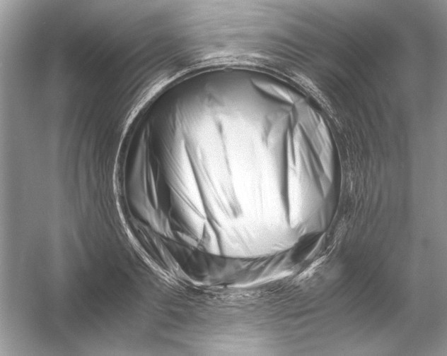 X0000055980893200509162222