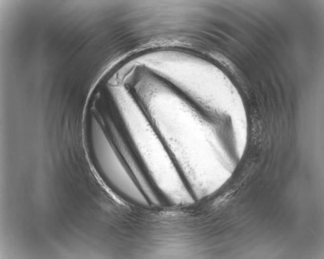 X0000055980894200509162222