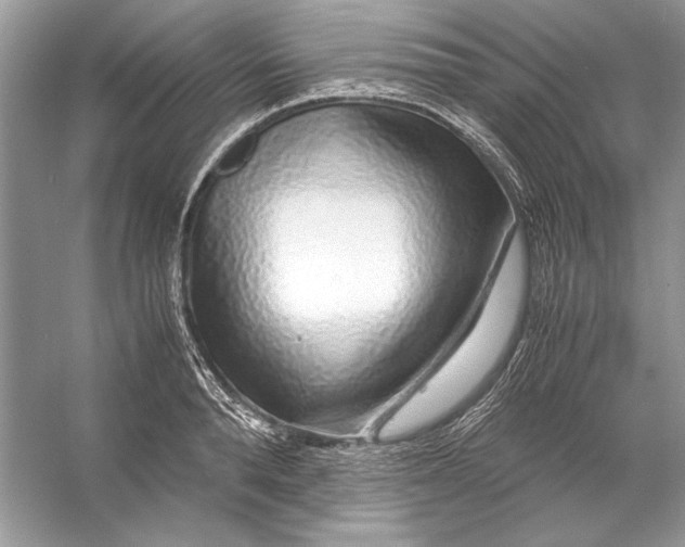 X0000055980896200509162222