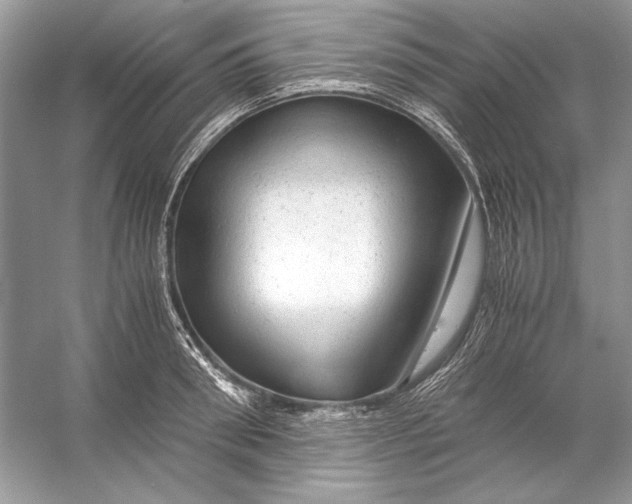 X0000055980898200509162222