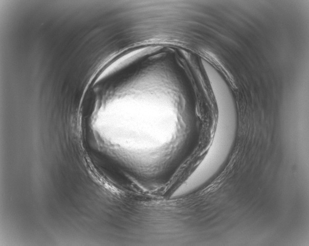 X0000055980900200509162222