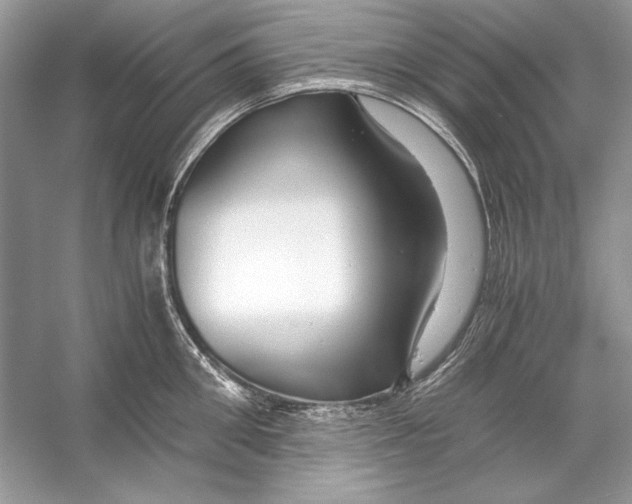 X0000055980906200509162222