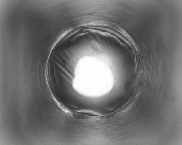 X0000055980909200509162222