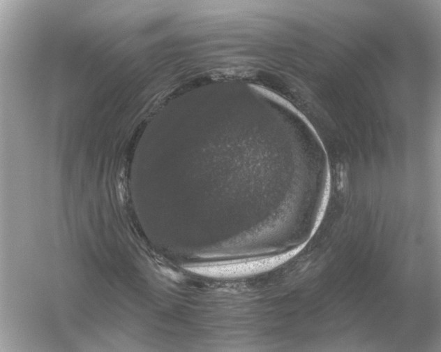 X0000055980915200509162221