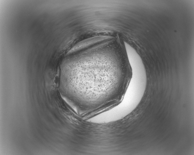 X0000055980916200509162221