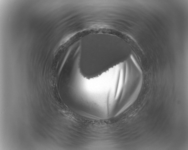 X0000055980919200509162221