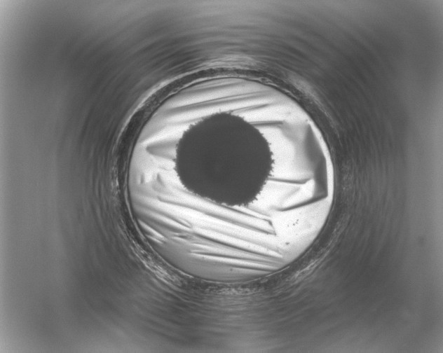 X0000055980923200509162221