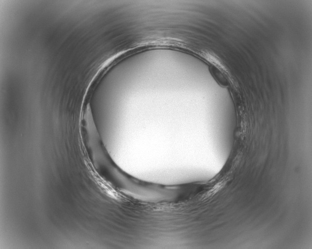 X0000055980940200509162221