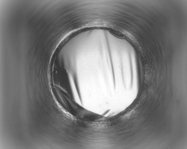 X0000055980942200509162222
