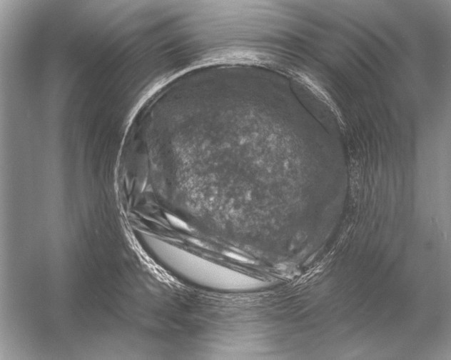 X0000055980944200509162222
