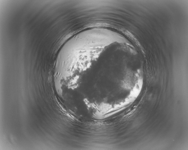X0000055980945200509162222