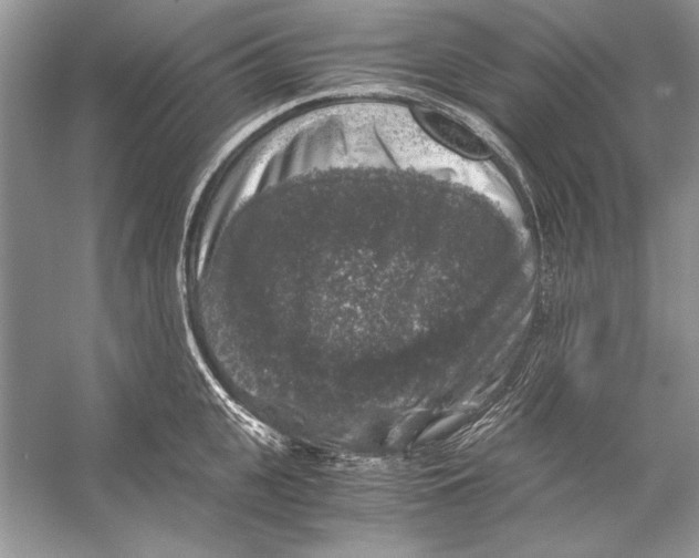 X0000055980951200509162222