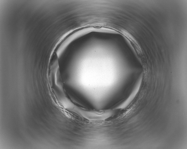 X0000055980956200509162222