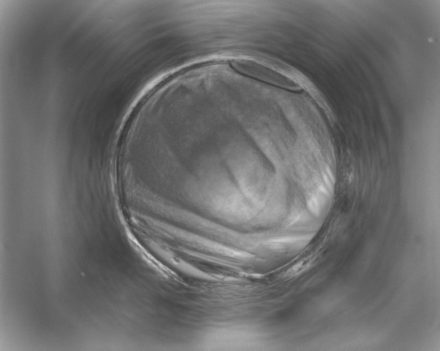 X0000055980958200509162222
