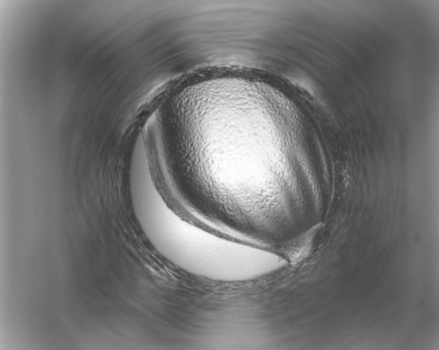 X0000055980968200509162221
