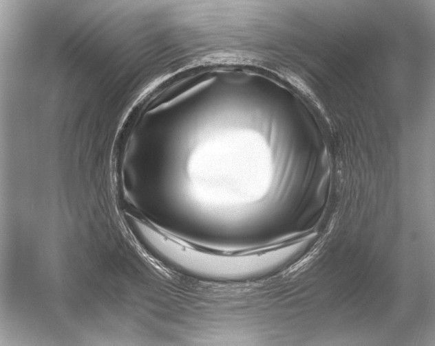 X0000055980981200509162221