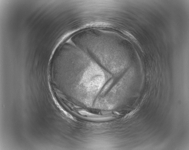 X0000055980989200509162221