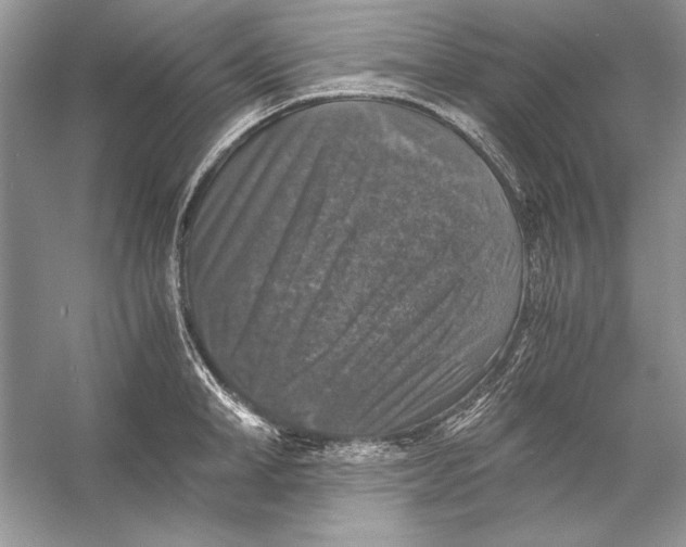X0000055980998200509162220